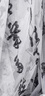 若萸古風(fēng)書(shū)法紗幔背景布新中式國風(fēng)氛圍漢服婚慶道具古裝拍照攝影掛布 【經(jīng)典黑色書(shū)法紗】0.5*2.8米 曬單實(shí)拍圖