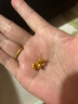 君念玉老鳳凰999黃金足金中國風櫻桃耳釘女款耳環(huán)甜美可愛車厘子小眾 櫻桃耳釘 曬單實拍圖