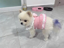 寵物貓咪狗狗衣服薄款牛仔牽引裙公主小型幼犬泰迪博美比熊春夏裝 HN甜心牛仔胸背裙-粉色 M碼(大約適合4-5斤) 曬單實拍圖