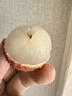 探鮮鋒（TANXIANFENG）廣東增城桂味荔枝糯米糍仙進奉新鮮荔枝空運水果生鮮送禮盒禮 【空運】桂味精品果5斤 曬單實拍圖