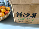 東北正宗純沙果微紅沙果酸脆酸口頭茬現摘現發(fā)應季水果新鮮包郵 微紅沙果 5斤凈重（手選裝箱） 曬單實(shí)拍圖
