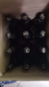 百威黑金啤酒600ml*12瓶整箱裝烈性拉格焦香醇厚  曬單實拍圖