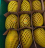 佳沛（zespri）新西蘭  陽(yáng)光金奇異果10粒禮盒巨大果單果約144-175g 水果 獼猴桃 曬單實(shí)拍圖