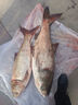 YGK PE SUPER16編pe線路亞線錨魚雷強(qiáng)專用ygkpe jp進(jìn)口原絲大力馬主線打黑魚線 X16五彩錨魚線【300米】 8【拉力強(qiáng)，不易斷】 曬單實(shí)拍圖