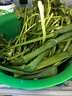 帶根香菜100g 曬單實拍圖