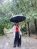 JCZS德國品牌防風(fēng)大暴雨遮太陽(yáng)傘防曬加大加厚加固自動(dòng)晴雨兩用女大號 梧桐米108根鈦合金傘骨全自動(dòng)開(kāi) 曬單實(shí)拍圖