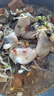 中潤魚 廣東免漿黑魚片250g*5袋 中段 酸菜魚火鍋 源頭直發(fā) 包郵 曬單實(shí)拍圖
