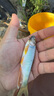 匹克態(tài)極24小時(shí)跑步鞋女鞋秋季網(wǎng)面透氣輕便休閑鞋運動(dòng)鞋子女DH420018 曬單實(shí)拍圖