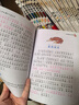 【全系列自選】國際大獎兒童文學(xué)獲獎小說注音版  一二三年級課外閱讀必讀書籍7-10歲中外名著 國際獲獎小說學(xué)生課外必讀叢書 尼爾斯騎鵝旅行記柳林風(fēng)聲海底兩萬里昆蟲記綠野仙蹤綠山墻的安妮吹牛大王歷險記  曬單實拍圖
