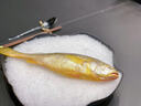 【黃魚(yú)】 象山石浦東海小木船海釣野生黃魚(yú) 舟山黃魚(yú)500g 大黃魚(yú)【1條/斤】   1斤 曬單實(shí)拍圖