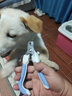 寵物狗狗指甲剪狗指甲鉗貓咪用指甲剪專用指甲刀鉗磨甲器 清新藍(lán)大號【送銼刀】 無規(guī)格 曬單實(shí)拍圖