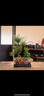 三菱電機（Mitsubishi Electric）BZ系列1.5匹 新三級能效13-21㎡適用變頻冷暖 空調(diào)掛機內(nèi)部清潔運轉(zhuǎn)MSZ-BZ12VA 曬單實拍圖