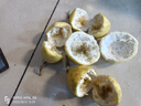 【熱賣(mài)款】廣西黃金百香果欽蜜9號(hào)新鮮水果當(dāng)季水果現(xiàn)摘整箱水果 40個(gè)裝 單果30g以下 曬單實(shí)拍圖