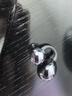 【官網(wǎng)OpenearClip華強北頂配款】2025最新款藍牙耳機耳夾式不入耳骨傳導運動適用華為蘋果小米 【星空黑】全景音效丨久戴舒適 丨超長續(xù)航丨超清通話丨AI降噪 曬單實拍圖