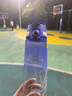 SIGG2025新款勞力士大師賽聯(lián)名款大容量運(yùn)動(dòng)水杯一鍵開合氣泡水專用杯 800ML藍(lán)色-透亮款 曬單實(shí)拍圖