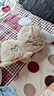 【9成新】費雪（Fisher-Price）嬰兒玩具安撫玩偶哄睡玩偶新生兒見(jiàn)面禮-費雪音樂(lè )安撫小兔子JCC12 曬單實(shí)拍圖