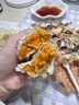 【活蟹】陽澄靖壹大閘蟹 鮮活大螃蟹可全母蟹 海鮮水產(chǎn)生鮮禮盒 公4.0-4.3兩母3.0-3.3兩4對8只 曬單實拍圖