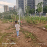 德力西電氣（DELIXI ELECTRIC）鋰電池澆水神器農用洗車澆地抽水泵灌溉抽水機電動自吸澆菜充電式 升級款四缸10節(jié)鋰電+20米管 曬單實拍圖