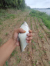 創(chuàng)威凌天二代釣魚(yú)竿手桿超輕超硬碳素鯉魚(yú)竿鯽魚(yú)竿臺(tái)釣竿 6.3m大綜合  曬單實(shí)拍圖