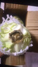 新鮮甘藍(lán)包菜卷心菜新鮮嫩綠蓮花白現(xiàn)摘現(xiàn)發(fā)早餐減脂 新鮮包菜 1.5-2斤 人工挑揀 曬單實(shí)拍圖