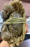 【活蟹】陽(yáng)澄戰(zhàn)地大閘蟹 鮮活大螃蟹可全母蟹 海鮮水產(chǎn)生鮮禮盒 公4.5-4.8兩母3.5-3.8兩5對(duì)10只 曬單實(shí)拍圖