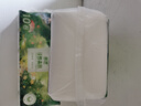 藍(lán)漂無芯卷紙5層80克*20卷扁卷紙衛(wèi)生紙綠野森林系列源頭直發(fā)包郵 曬單實拍圖