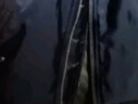 龍牙二代MA-1飛行夾克戰(zhàn)術(shù)服男ma1飛行員夾克迷外套男戶外君品 極夜黑 S 170/92A 120-140斤 曬單實(shí)拍圖