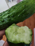 東北正宗旱黃瓜帶刺脆皮小青瓜新鮮蔬菜水果綠黃瓜單根≥90g 3斤 凈重 曬單實(shí)拍圖
