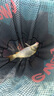 無(wú)限回鍋魚(yú)小藥黑坑花果香小藥黑坑青鯉魚(yú)專(zhuān)用羅飛野釣偷驢高濃度 花果香一瓶【送中藥酒】 曬單實(shí)拍圖