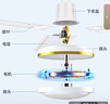 鉆石牌吊扇電風扇家用客廳1.4米56吋樓頂扇工業(yè)大風力吸頂電風扇DS56-11I 曬單實拍圖