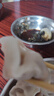 灣仔碼頭玉米蔬菜豬肉水餃720g36只早餐速食半成品面點(diǎn)速凍餃子 曬單實(shí)拍圖