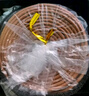 美真香桂花盤香 花香家用室內(nèi)客廳衛(wèi)生間室內(nèi)熏香香薰 4小時(shí)/48環(huán)裝 曬單實(shí)拍圖