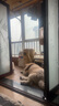 麥富迪 狗糧 藻趣兒通用全價(jià)犬糧小中大型犬泰迪柯基金毛拉布拉多 【熱銷】成犬糧40斤裝 曬單實(shí)拍圖