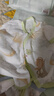 十月結(jié)晶嬰兒半背衣新生兒衣服寶寶純棉網(wǎng)眼短袖上衣夏季薄款A(yù)類0-3月 曬單實拍圖