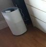 美的（Midea）小藍鯨600無霧空氣加濕器凈化落地家用母嬰專用臥室靜音除菌空調(diào)風(fēng)扇伴侶女孩禮物國家補貼2Y50 曬單實拍圖