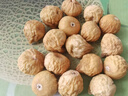 北京同仁堂無花果干中藥材燉湯煲湯材料包湯包料糖水湯料竹蔗海底椰雪梨茅根 【3罐】無花果干(200g*3) 曬單實(shí)拍圖