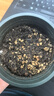 播種心情食用薄荷種子留蘭香檸檬貓薄荷室內(nèi)外陽臺(tái)多年生盆栽香草籽驅(qū)蚊 食用薄荷1000粒+加侖盆+土+肥 曬單實(shí)拍圖