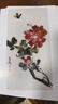 詠幻王雪濤牡丹臨摹卡國(guó)畫花鳥寫意名家范本水墨彩色高清印刷精選32張 濤杜丹專輯 曬單實(shí)拍圖
