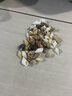 許愿瓶裝天然海螺貝殼海星組合海洋科普標(biāo)本手工diy材料裝飾擺件 【加4個(gè)小海星】袋子裝約1000顆 曬單實(shí)拍圖
