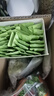 京東京造 羽衣甘藍(lán)粉 青汁搭配燕麥片麩皮膳食纖維代餐90g（3g*30條） 曬單實(shí)拍圖