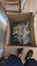 漆色彩虹 內(nèi)墻膩?zhàn)臃?20kg/袋 抗堿凈味耐水凈醛膩?zhàn)臃坌扪a(bǔ)墻面膩?zhàn)?曬單實(shí)拍圖