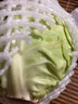新鮮甘藍包菜卷心菜新鮮嫩綠蓮花白現(xiàn)摘現(xiàn)發(fā)早餐減脂 新鮮包菜 1.5-2斤 人工挑揀 曬單實拍圖