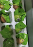 瑾貝金鳳活珠子五香味新鮮13天開袋即食熟雞胚蛋鳳凰蛋鋼化蛋廠家 五香味20枚 +蘸料 曬單實(shí)拍圖