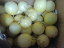 海南欽蜜9號黃金百香果啟鴻 新鮮水果純甜 如蜜 40個裝（30-45g） 曬單實(shí)拍圖