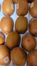 佳沛（zespri）新西蘭  陽光金奇異果巨大果22粒原箱 單果重約144-175g 獼猴桃 曬單實拍圖