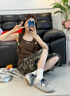 快樂(lè)瑪麗（J&M）休閑運(yùn)動(dòng)鞋女七夕禮物新款軟底網(wǎng)面透氣阿甘鞋百搭復(fù)古德訓(xùn)鞋子女 灰色 37 曬單實(shí)拍圖