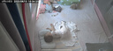 貝樂堡兒童蓋毯學(xué)生夏涼被嬰兒空調(diào)毯寶寶抱毯幼兒園午睡毯小被子薄款 溫馨時光-105*105cm 【A類涼毯】 曬單實拍圖