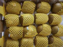 佳沛（zespri）新西蘭陽(yáng)光金奇異果原箱 16粒巨無(wú)霸 單果重約202-230g   獼猴桃 曬單實(shí)拍圖