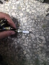 NGK火花塞銥鉑金雙鉑金銥金鉑金專車專用火花塞火嘴(4支價(jià))適用于 捷豹路虎衛(wèi)士發(fā)現(xiàn)攬勝 93710 曬單實(shí)拍圖