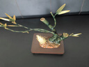 福格達(dá)（FUGEDA）節(jié)節(jié)高升富貴竹子擺件家居玄關(guān)辦公室裝飾喬遷新居禮品開業(yè)禮物 節(jié)節(jié)高升【高檔禮盒-免費(fèi)定制】 曬單實(shí)拍圖